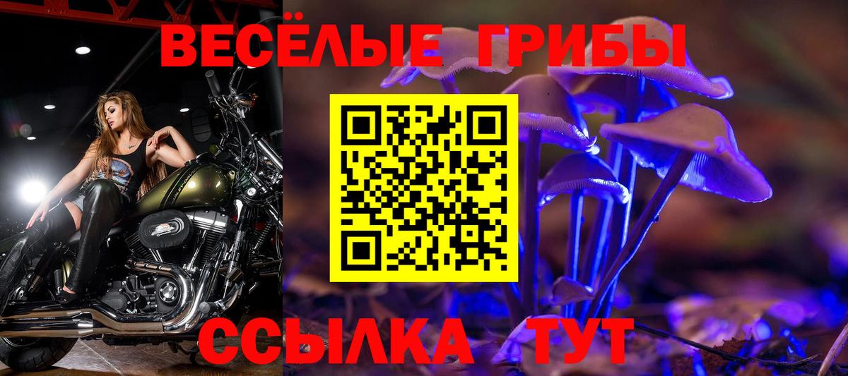 Галлюциногенные грибы ЛСД Брянск